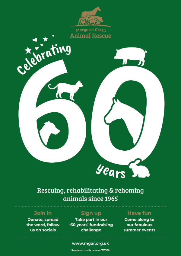 60th Anniversary Poster